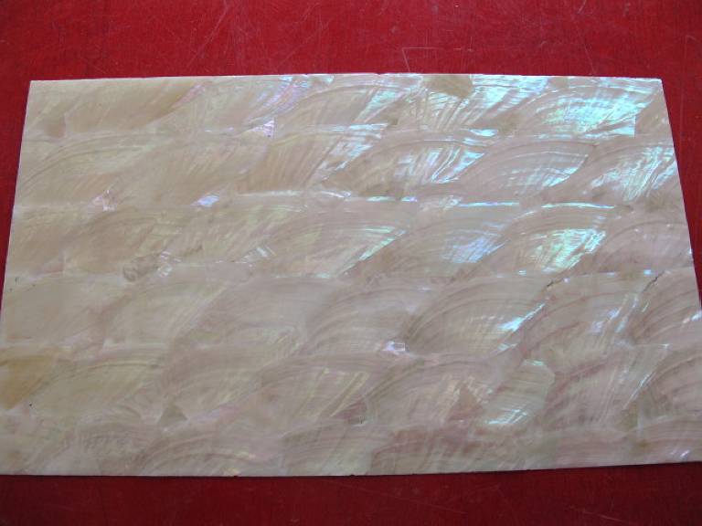 Feuille De Nacre